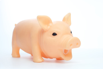 Toy Pig