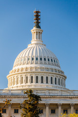 Fototapeta na wymiar US Capitol, Waszyngton
