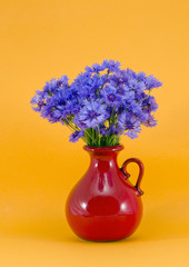 blue cornflowers in the red jug