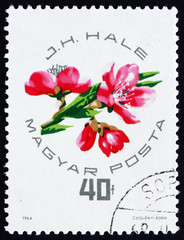 Postage stamp Hungary 1964 Peach Blossoms