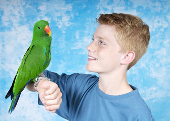 Papagei auf der Hand