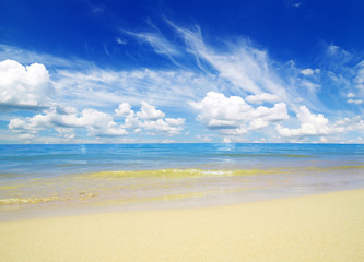 beach and tropical sea