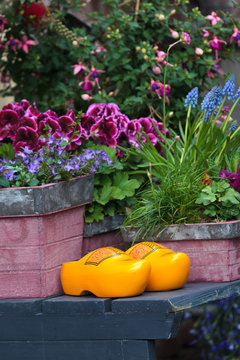 Pair of Dutch yellow clogs surrounded by garden plants