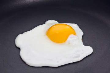 Fried egg, sunny side up