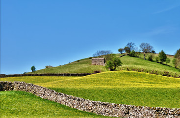 Pastoral scene of lush English meadows
