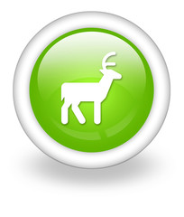 Light Green Icon 