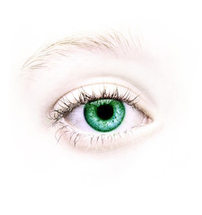 close up of a green eye