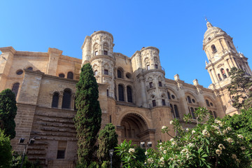 Fototapeta premium Malaga Cathedral