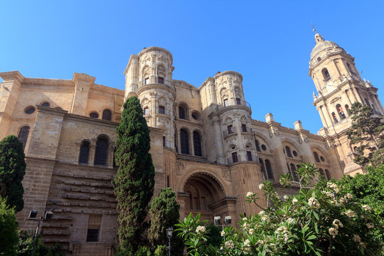 Malaga Cathedral