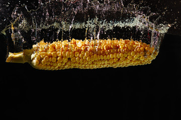 Fresh corn falling into the water with splash