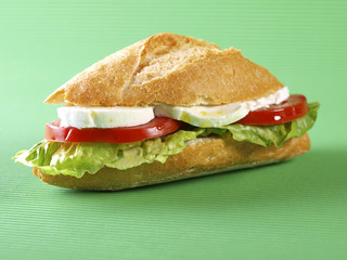 Vegetable sandwich. Bocadillo vegetal.