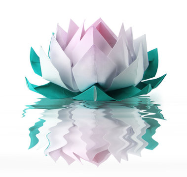 Origami lotus