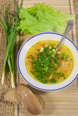 hot soup with  spring onions and rye bread on a decorative napki