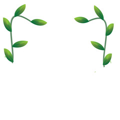 Leaf on background