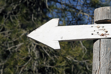 Flecha indicadora de ruta en el bosque