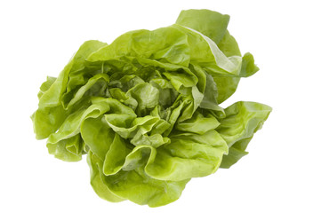 lettuce on white