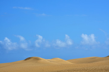 Fototapeta na wymiar Dünenlandschaft auf Gran Canaria