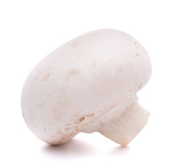 Champignon mushroom
