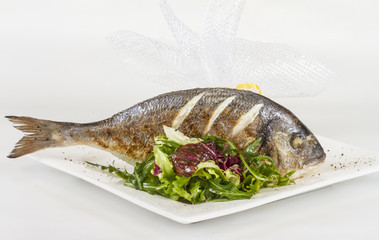 Dorada fish with salad on the white plate. Studio shot