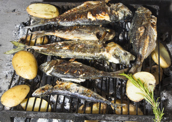 Fresh Mediterranean fishes on BBQ