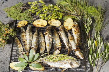 Mediterranean fishes, rosemary and Mediterranean herbs, on BBQ