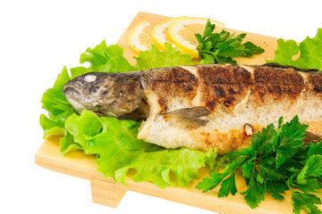 Roasted striped sea bass