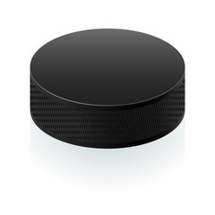 Realistic black puck