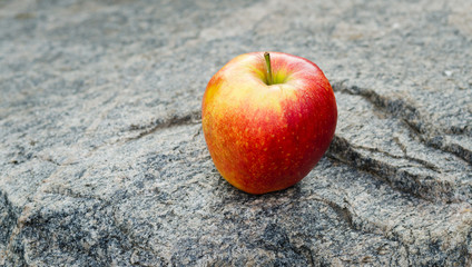 Ripe red juicy apple on a rock