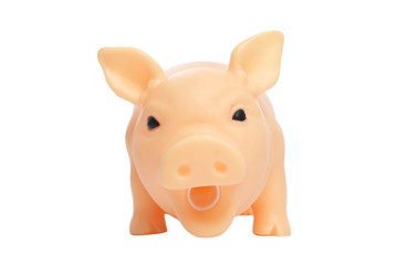 Toy Pig isolated on white background