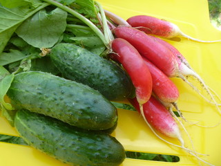 Летний урожай на желтом фоне