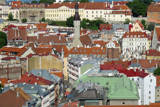 roof landscape seen from the top of a city in Estonia in Europe