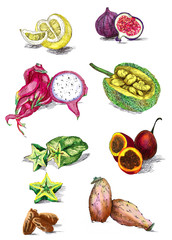 tropical fruit