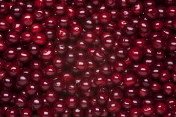 cherry background