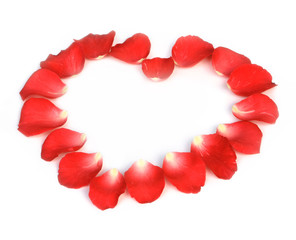 Red rose petals  with heart shape on white background.