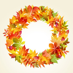 Autumn backgroun. Wreath of leaves - 43191963