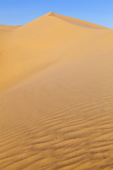sand dune in sunrise in the desert