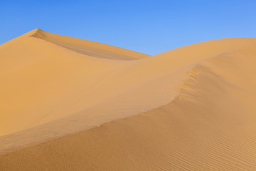 Fototapeta na wymiar sand dune in sunrise in the desert