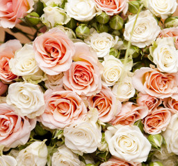 Floral background for your design, roses
