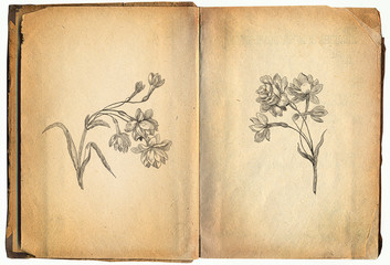 Retro book with flowers