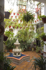Andalusian Patio