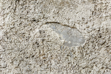 Schäden an Wand