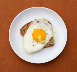Fried Egg over Toast