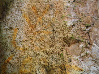 Naklejka premium ABSTRACT TEXTURE N°7