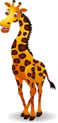 Papier Peint photo Zoo dessin animé mignon girafe isolé sur fond blanc