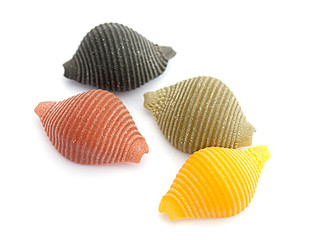 Pasta shells