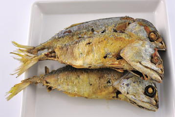 mackerel fish on the white plate