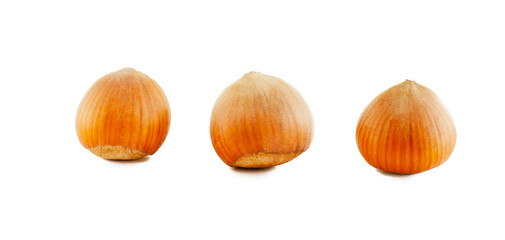 Three hazelnuts in shell