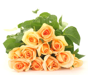 beautiful bouquet of roses isolated on white