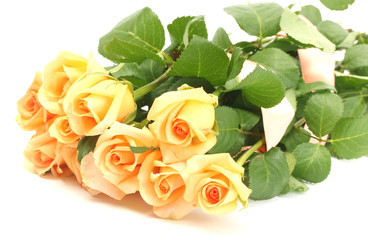 beautiful bouquet of roses isolated on white