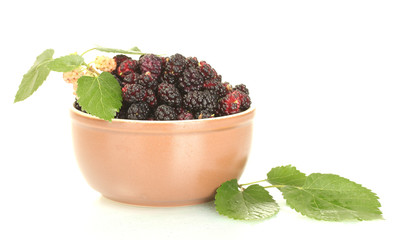 Ceramical bowl with ripe mulberries isolated on white close-up